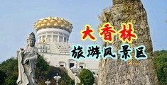 淫妇浪女视频天天看中国浙江-绍兴大香林旅游风景区